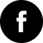 Social icon 2