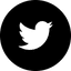 Social icon 5
